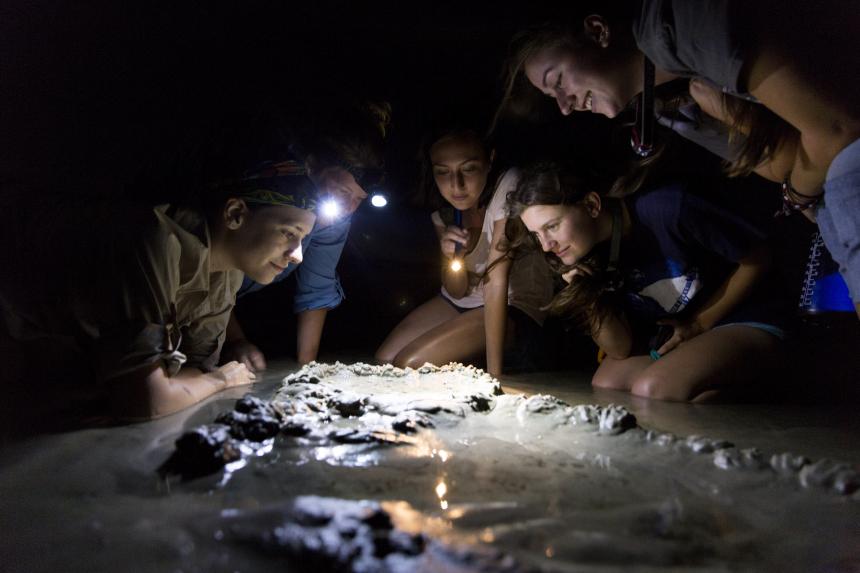 group night search