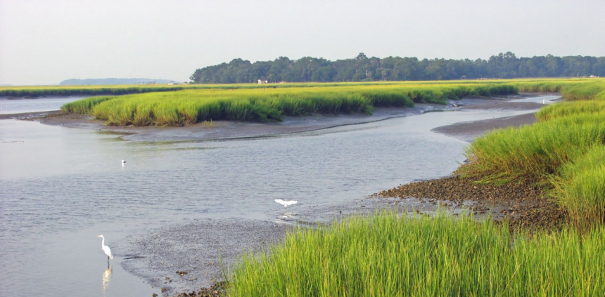 View of water at Sapelo Island