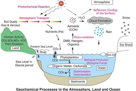 organic geochemistry