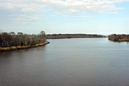 altamaha river